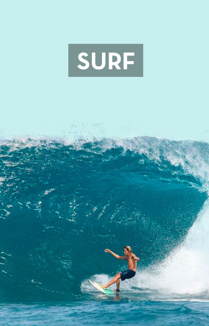 Radz Hawaii - Surf